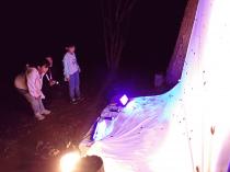 夜のいきもの探しキャンプ (35).JPG